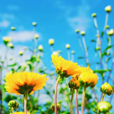 学无止境，教无止境，研无止境———横州市云表镇甲俭村委小学数学2组教研活动