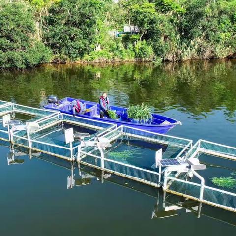 聪明鱼～智能渔方介绍