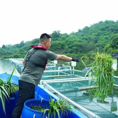 论如何正确的“向江河湖海要食物”