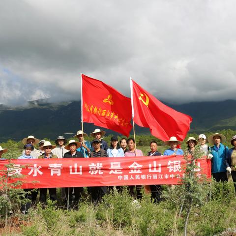 学史力行，践行生态文明思想——人行丽江市中支开展幼林抚育管护活动