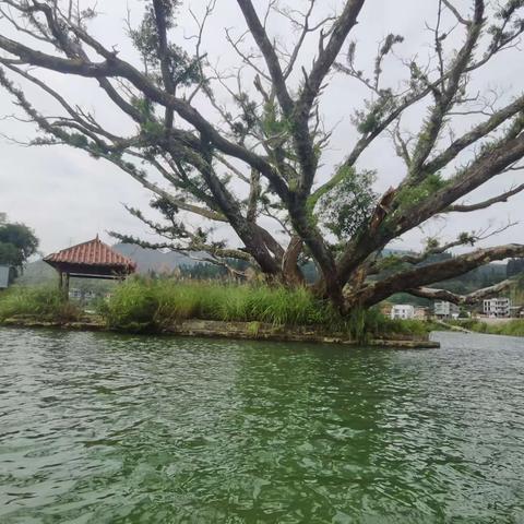 都是你美-2021年十月自驾桂黔旅行之都柳江沿途风光