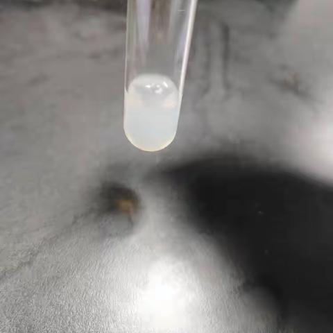 油脂的性质