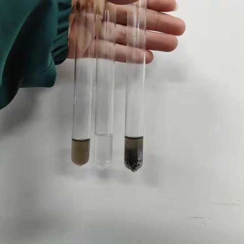 蛋白质的性质
