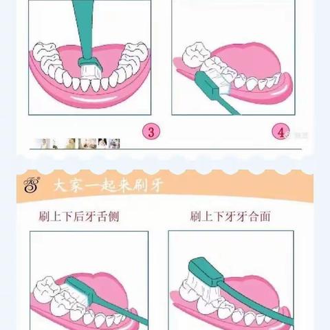 【爱护牙齿，健康成长】丛台区第七幼儿园主题活动