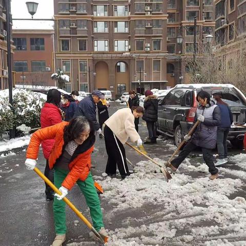 尉家坡社区党支部组织扫雪