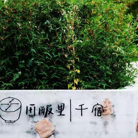 田畈里的快乐时光🧚‍♀️🌾