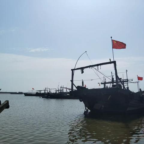 平淡是珍的美篇