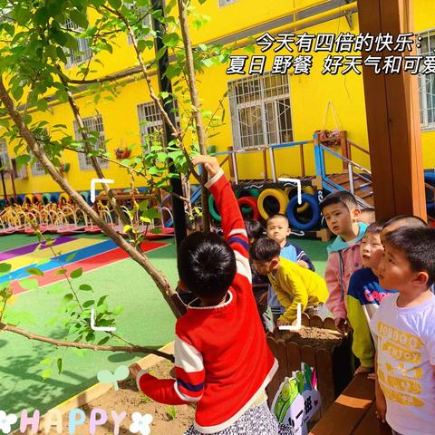 课程故事《你好，树朋友》