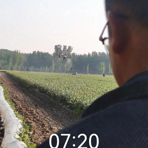 杏花营农场扎实做好小麦赤霉病等防治工作