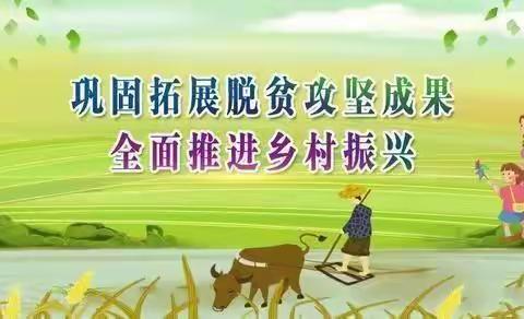 【三雷镇中陶村】脱贫攻坚后评估 乡村振兴筑基础
