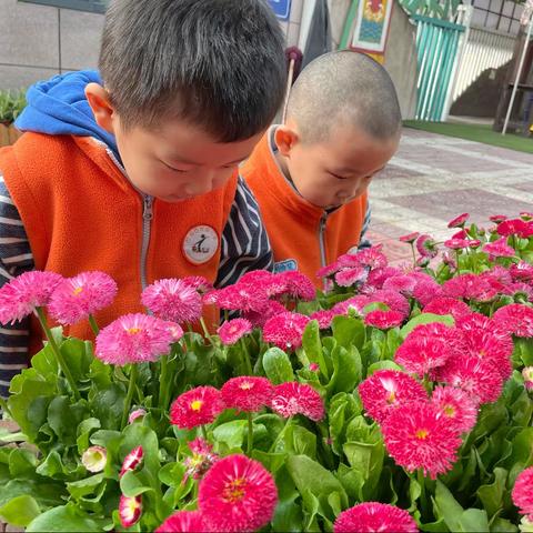 【西安市新城区】西安西光幼儿园小五班•3.12植树节