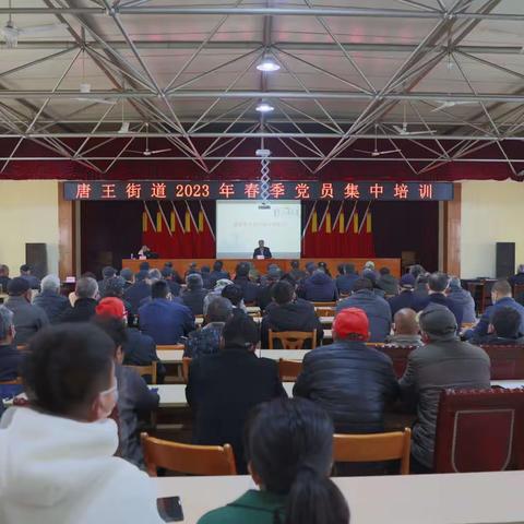 唐王街道春季党员集中培训为党员“充电蓄能”