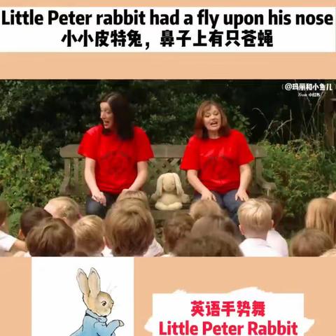 Little Peter Rabbits