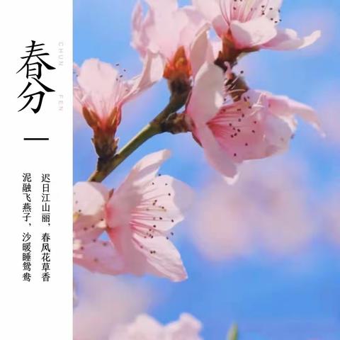 “春分时节，春意盎然”——花亭中心幼儿园春分主题活动