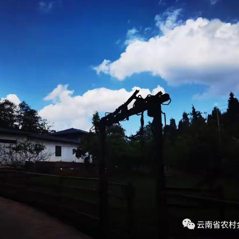 每周一景：团结乡春景