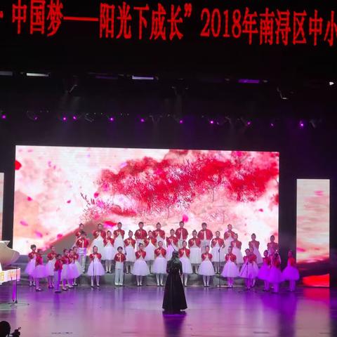 喜讯:练市小学合唱队喜获2018年南浔区中小学生文艺汇演小学组第一名