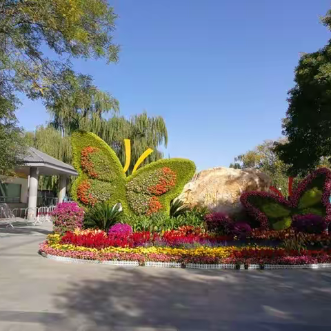 春游玉渊潭公园