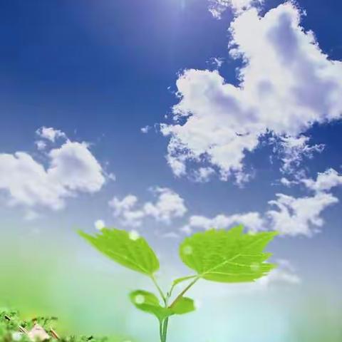 目标一致 团结协作 共同提高 ——房山区“同题异构”主题班会 初中四组 展示交流简报