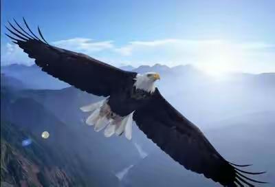 专家引领 实践对话——昊天学校整体把握数学课程下的中小衔接课题研究简报