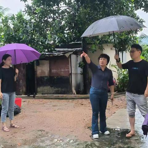 过岭村委会防风防汛工作简报（2023.9.10）