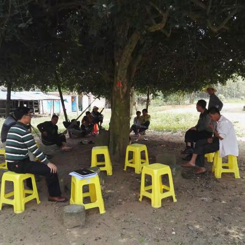 龙湾复垦项目美宋红坡工作组工作简报(3月2日)