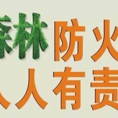 【森林防火 人人有责】唐县黄石口小学开展森林防火活动