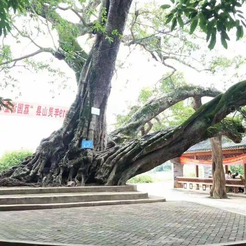 2019.5.31大芦古村写生