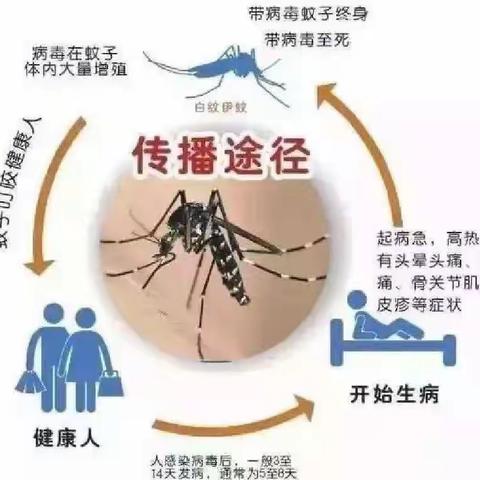 ［健康保健］_海南省海色经典国际幼儿园预防登革热宣传