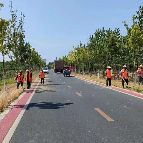 召陵区交通运输局推进人居环境整治，打造美丽乡村