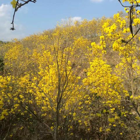 快乐三人行 2018年3月