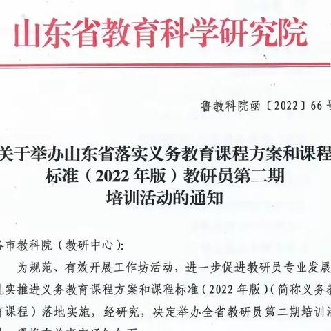 聚焦新课标 助推新成长