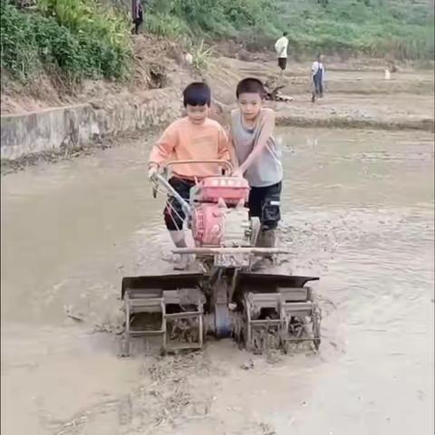 我劳动   我快乐   我收获——玉林市小平山电力希望小学学农社会实践活动