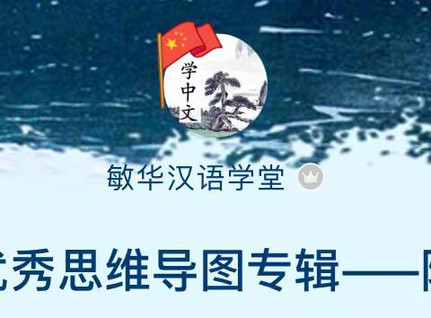 学生优秀思维导图专辑——陈宓轲