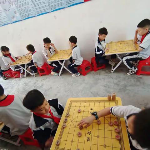 以棋启智 以棋育心                __象棋社团活动展示