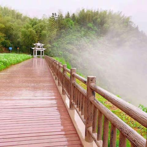 我踏雨而来，只因你在山中——记华墅小学教职工春游活动