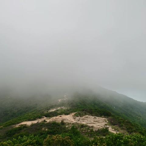 半天☁️村～大鹿港踏青