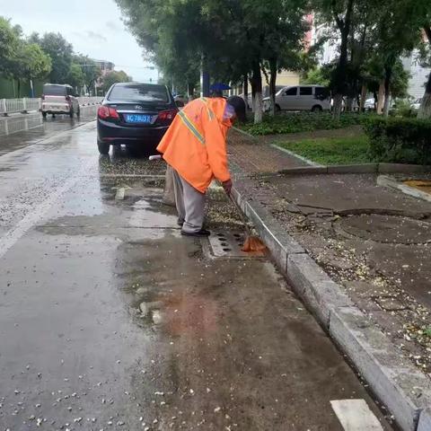 风雨中的守护者