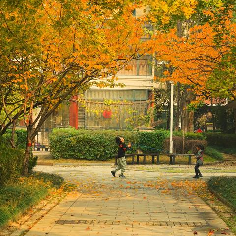 春天花园的秋