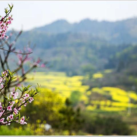 满园春色 --- 鄂州陈家边