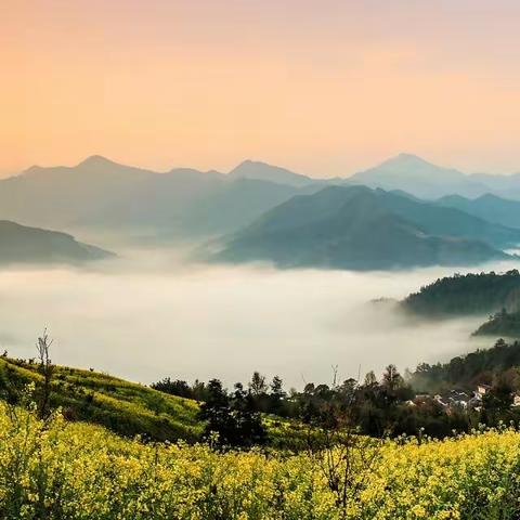 云中花海 --- 安徽石潭