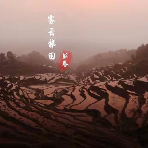 雾云山梯田 --- 晨光
