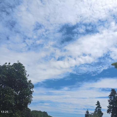 可亲可敬的红马甲——253班家长志愿者护岗行动