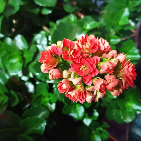 乡村教育大有可为