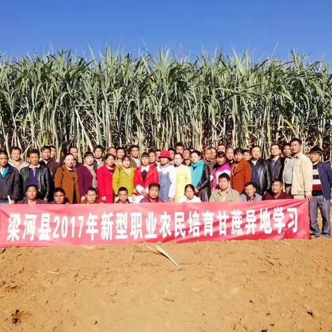 梁河县新型职业农业经营主体带头人甘蔗培训班到临沧市观摩学习
