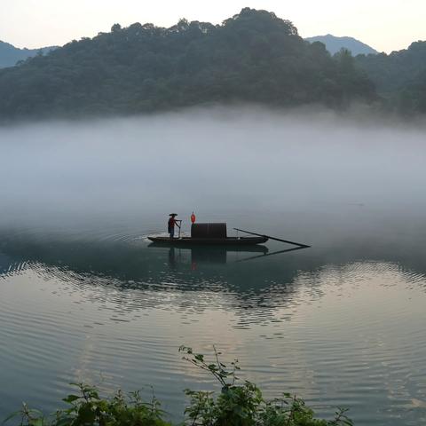 盛夏的雾气