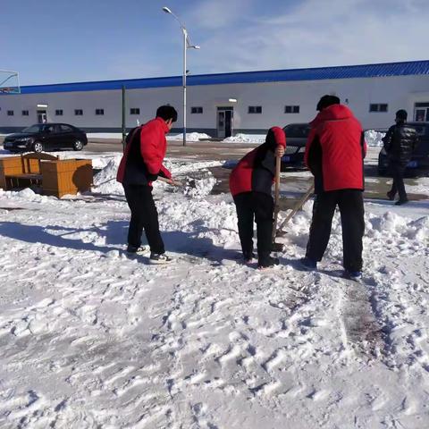 七年级扫雪纪实：初雪满校园，扫雪护安全