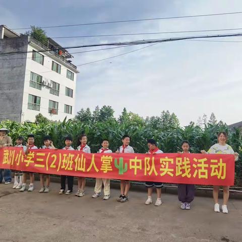 一起走进田园，我和蔬菜是朋友——仙人掌🌵中队实践活动小记