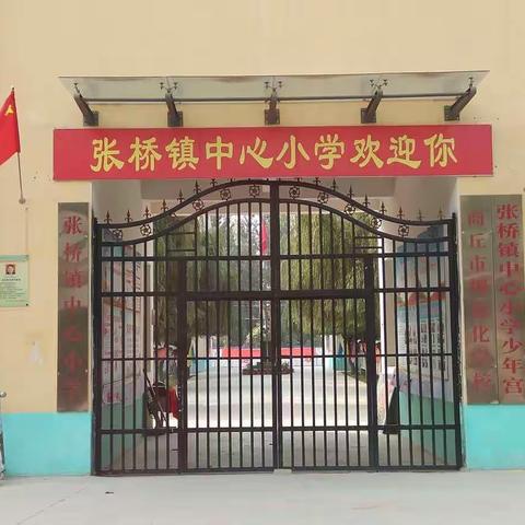 不负春光争朝夕，中小教师展风采──张桥镇中心小学开展教师“三字一画一话”系列培训活动