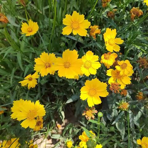 604班全国爱眼日活动