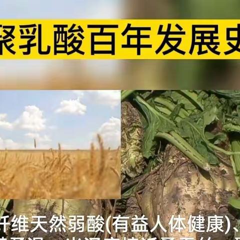 科技让纤维更懂你｜你不了解的聚乳酸和你熟悉又陌生的乳酸